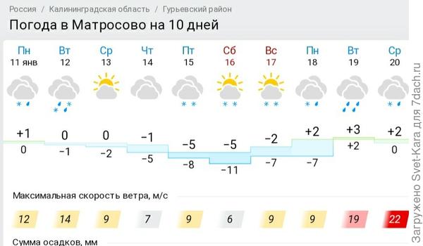 Прогноз от 11 января 2021