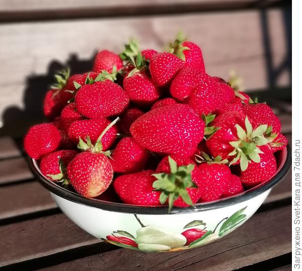 Цветочки - это хорошо. А вот ягодки в январе :-))))