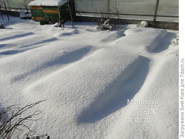 Грядки спят