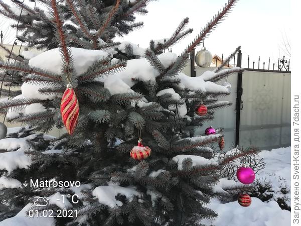 Праздник продолжается