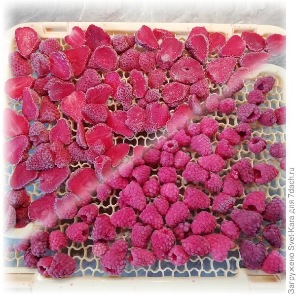 Кусочки &quot;замороженного&quot; лета :-)))