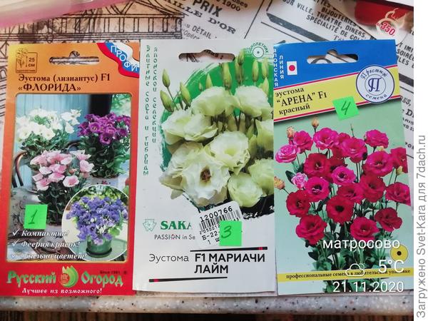 Вот мое огорчение прошлого сезона.