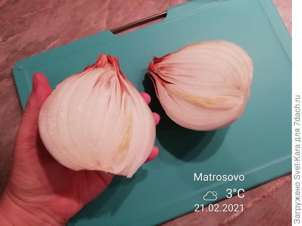 Финалистка сезона 2020