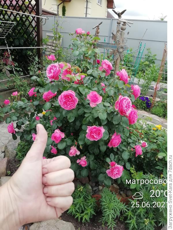 Лето!!! Красота!!!