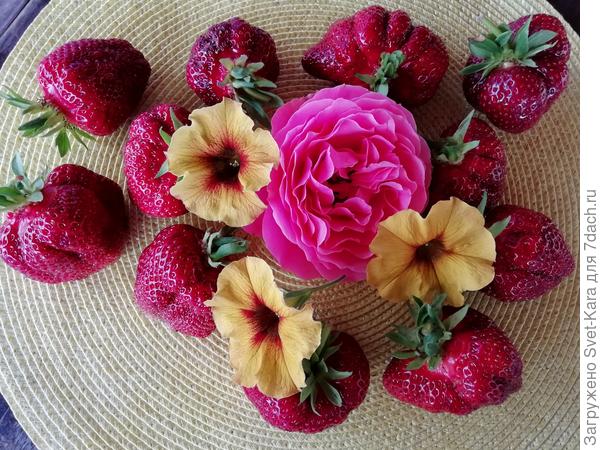 Краски июля