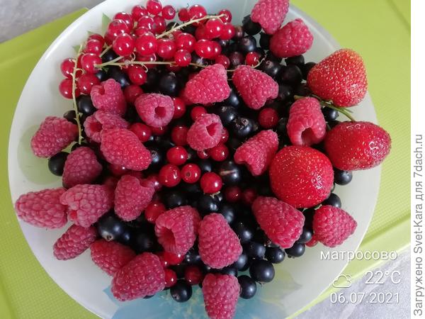 Ура! Ягодному изобилию!