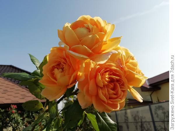 Светик! С юбилеем!