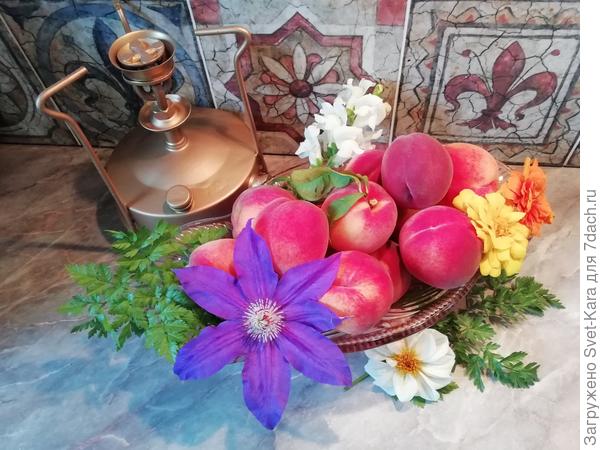 Специально для вас немного урожая прибалтийских персиков