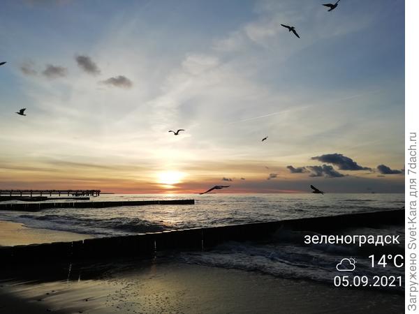 Море волнуется раз...