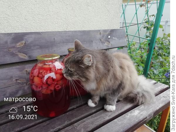 Куда же без госприемки?