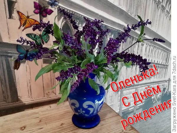 Букетик сальвии Рио для тебя в этот осенний праздничный день