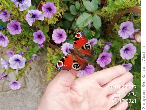 Прощанье с летом