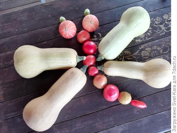 Сентябрьское настроение