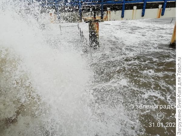 Балтийская волна