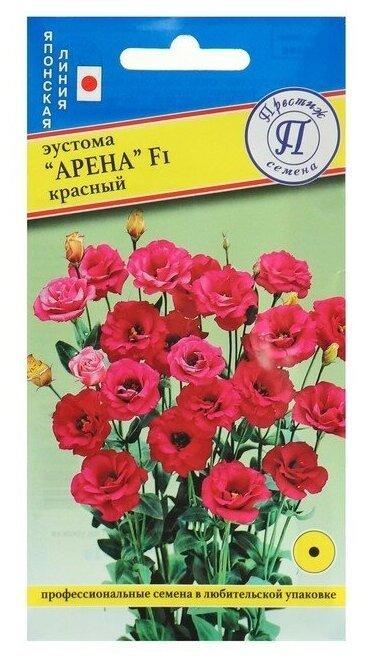 Не удалось мне познакомиться с красной Ареной