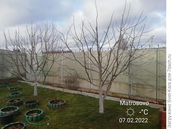 Кусочек сада