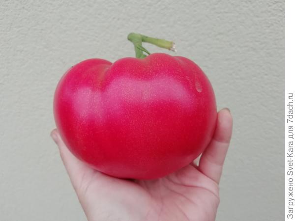 А это для тебя помидорчик :-) Всё будет хорошо!!!