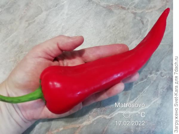 Имя твое неизвестно, увы...