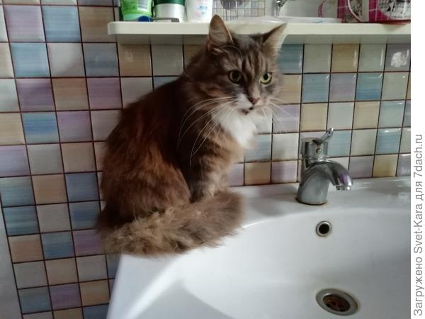 Привет от Лёвочки из Матросово