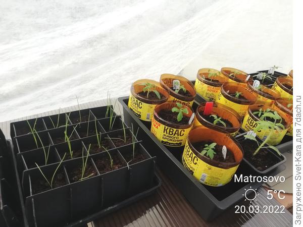 10 утра. За бортом +5°С