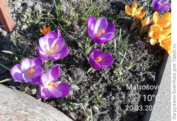 Глаз не отвести. Так уже хочется любоваться яркими красками