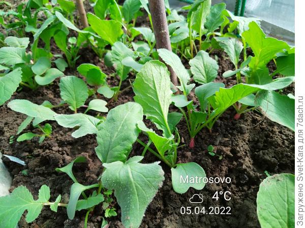 Скоро дегустация