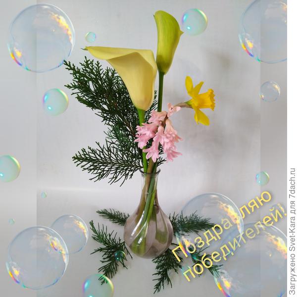 А у меня расцвела калла (слишком рано я ее посадила ;-) ) и я от души дарю такой необычный букетик всем участницам конкурса