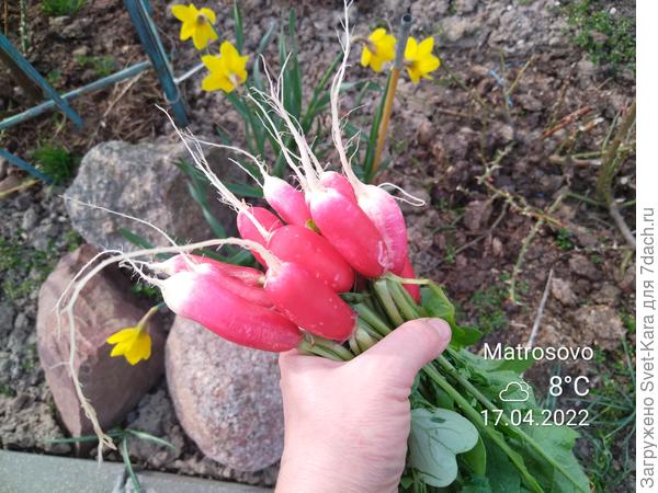 Первый пучок