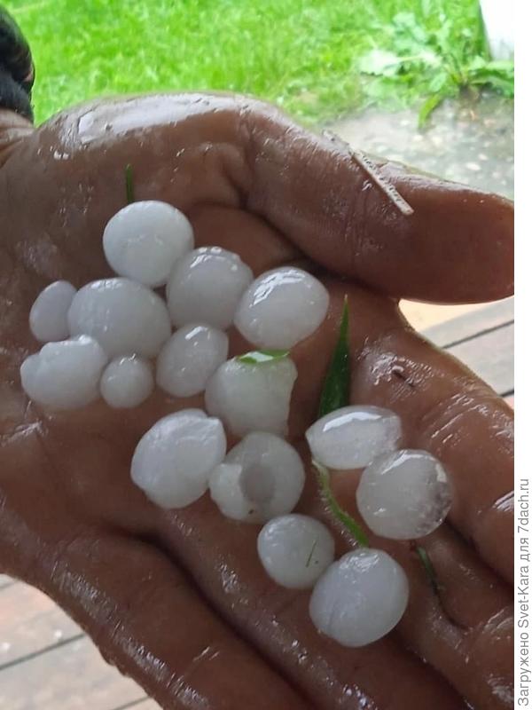 Вчерашнее фото из группы нашего района