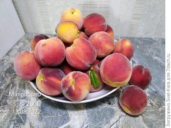 Можно объедаться :-)