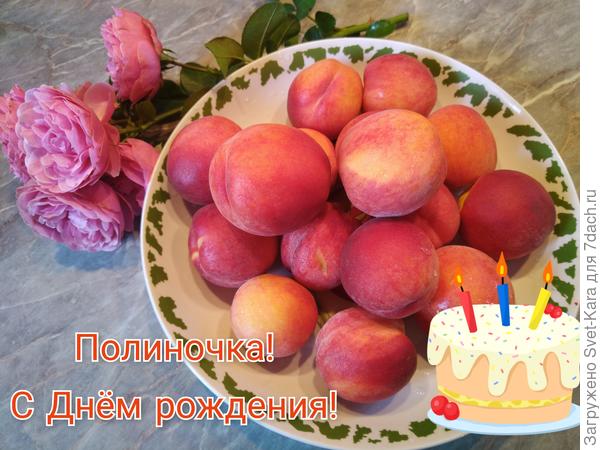 Прибалтийские персики для девочки из далекой Алма-Аты