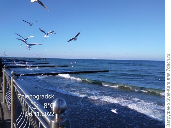 Морские дали