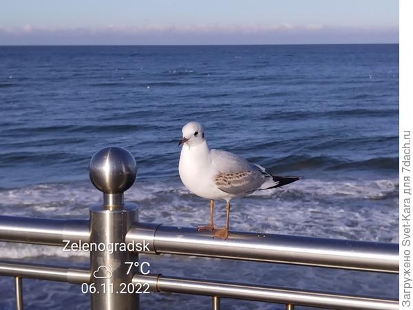 Фотомодель