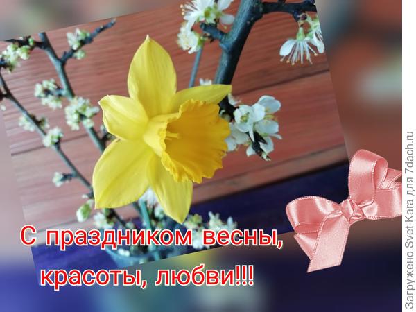 Цветочки для вас