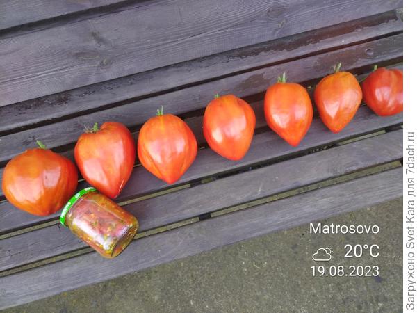 Любимец - Древнее ❤️ Акви Терме