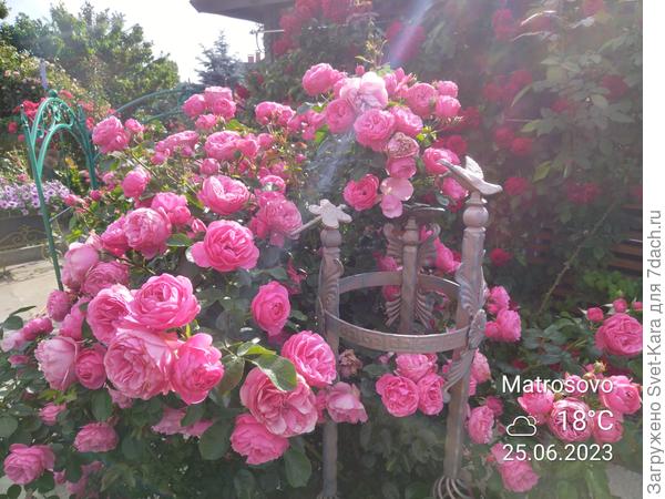 И на рассвете...