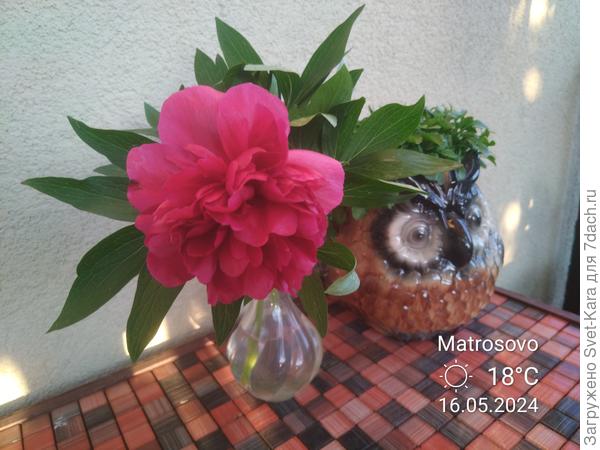 Первый сезона-2025