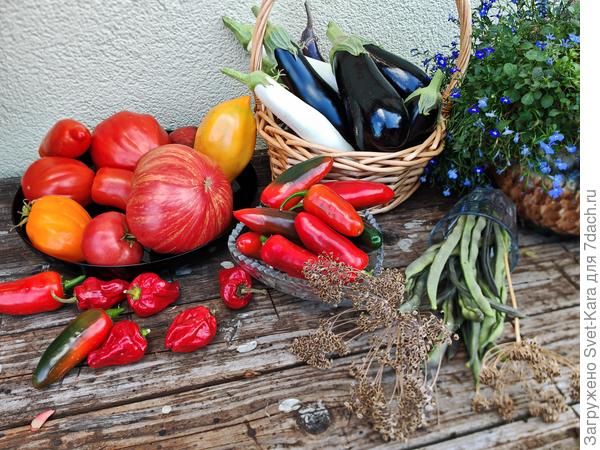 Овощная радуга