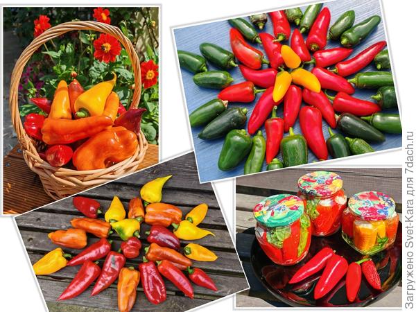 Кому сладенького? Кому остренького?