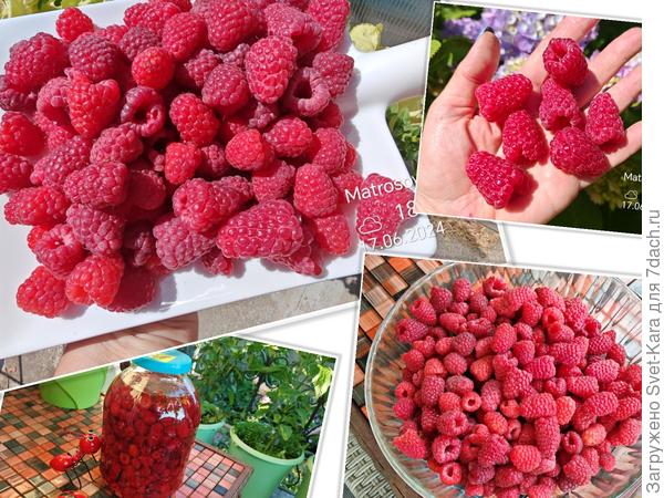 Малиновое настроение