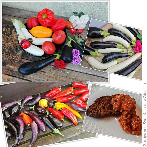 Кому икорки заморской баклажанной?