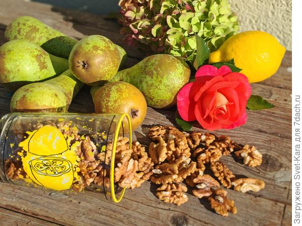 Поспела груша Конференция. В планах варенье с орехами и лимоном