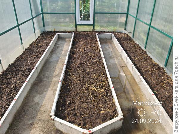 Вечером посею сидераты