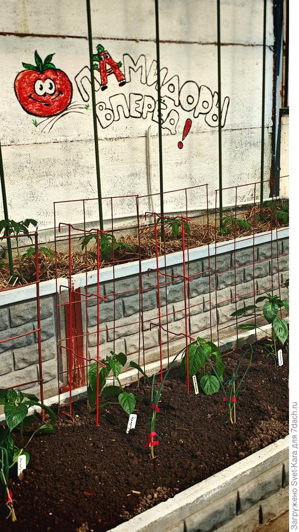 Чтобы всё росло и радовало - нарисовала на стене лозунг :-)