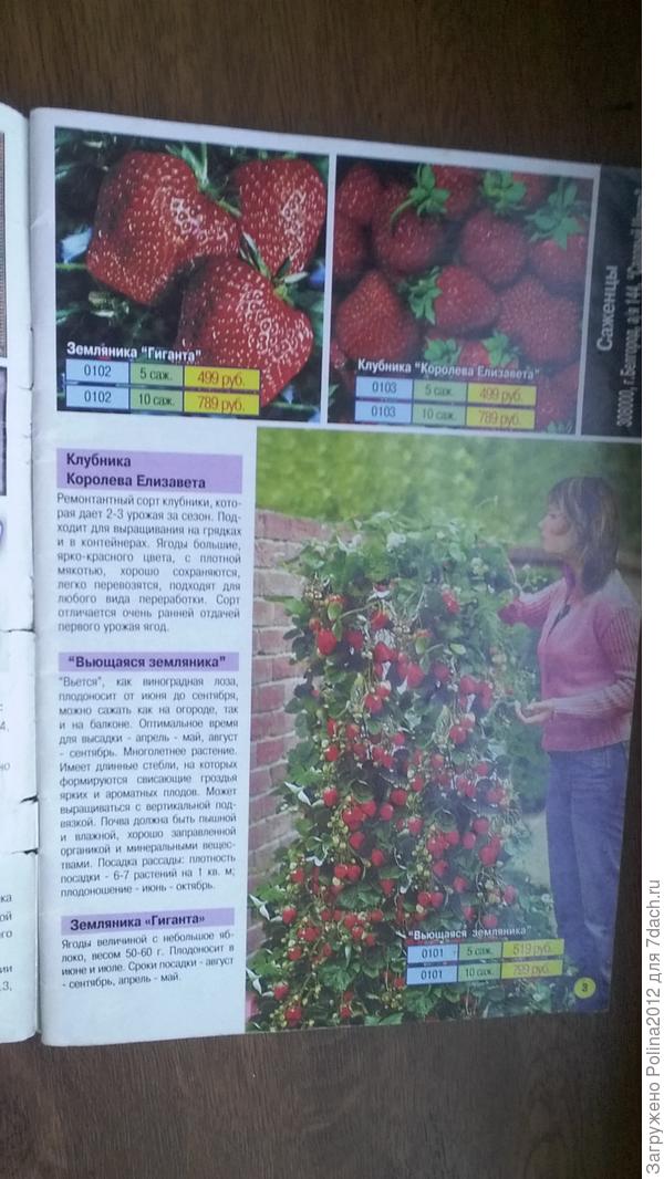 Это старый журнал,2009 год кажется