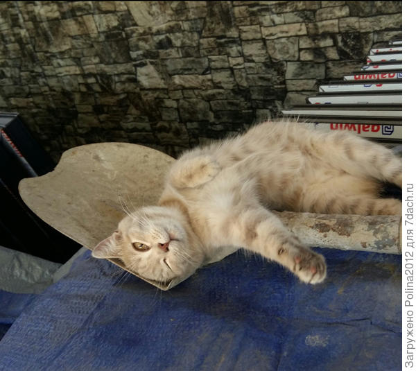 Этот сам не работает,и другим не дает