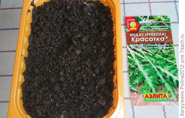 Вчера посеяла