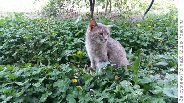 Куда смотреть то?