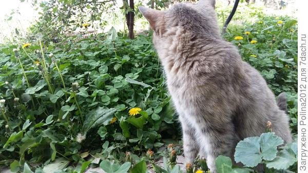 Я сегодня не в духе