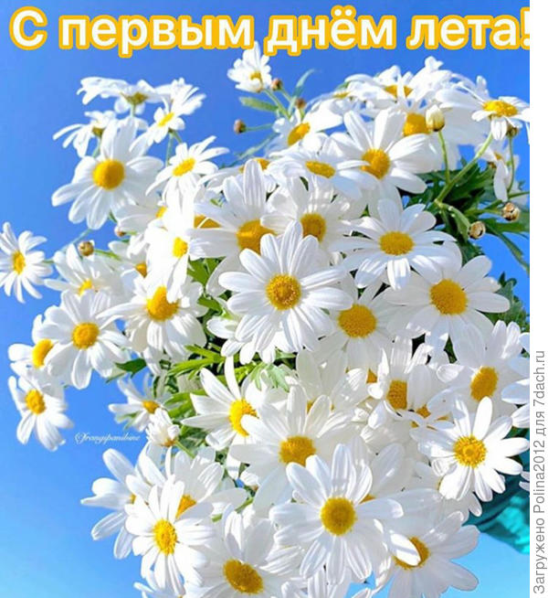 С началом лета!